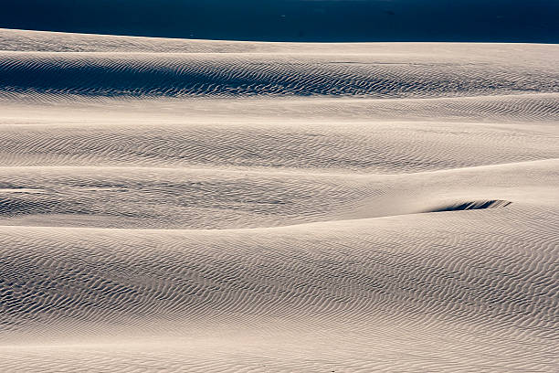 istock beautiful view of the coastal dunes 585306076