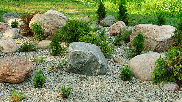 istock Garden stone path with grass growing up between the stones 585307908