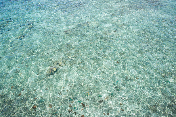 istock surface of sea water 585309884