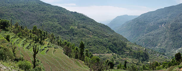 istock Fields and wooden houses in Nepal 585311102