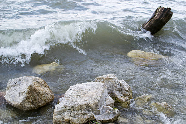 istock waves breaking on the old flooded trees 585311584