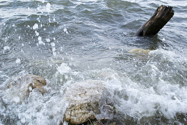 istock waves breaking on the old flooded trees 585311634