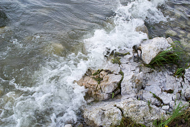 istock waves breaking on the old flooded trees 585311670