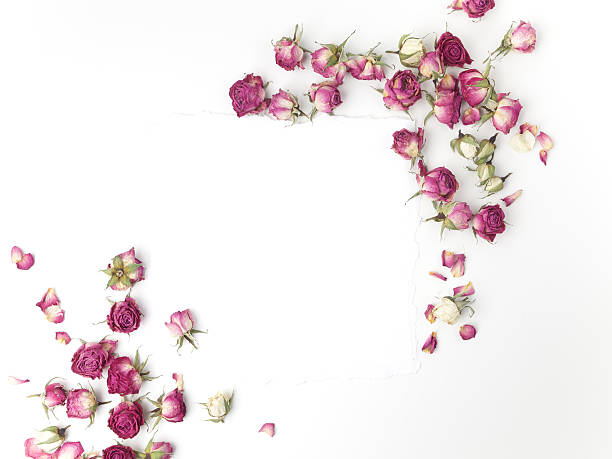 istock Frame with dried pink roses. Top view. Flat lay. 585312300