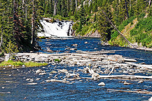 Lewis Falls Yellowstone National Park