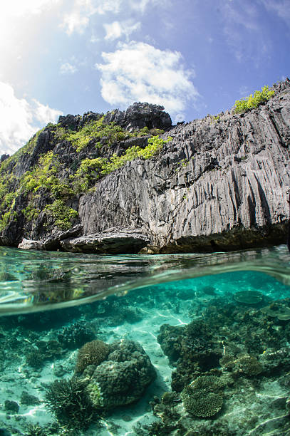 istock Reefs and cliffs over and under the sea 585316652