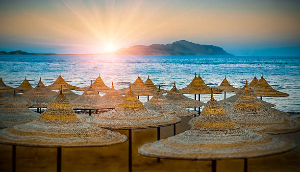 Beach umbrellas. Egypt summer shore at sunset. stock photo