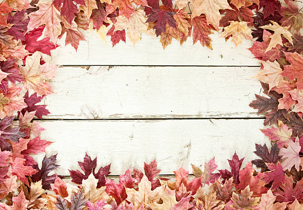 istock Autumn Fall Maple Leaves Border on Old White Wood Background 585316928