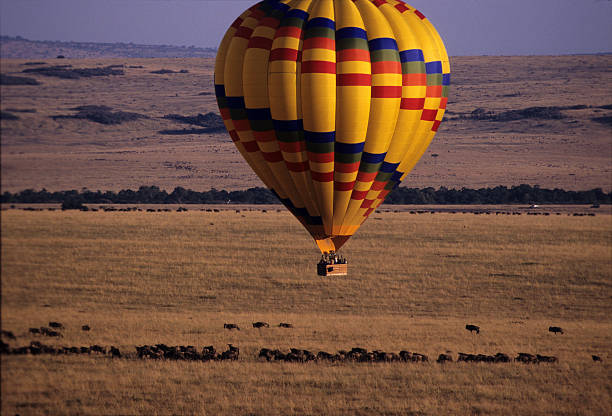 istock Wildbeast migration viewed from the baloon, Masai Mara, Kenya 585318728