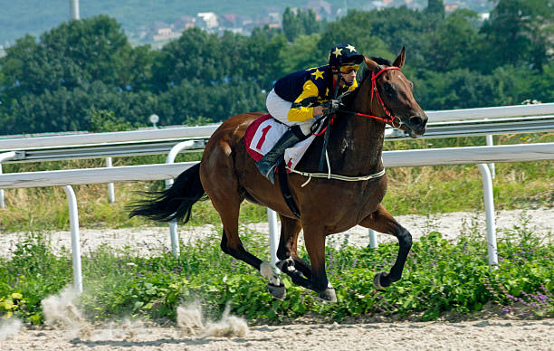 istock Horse racing in Pyatigorsk 585318858