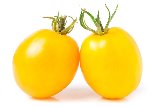 istock two yellow tomato isolated on white background 585320128