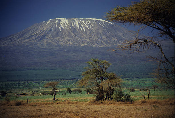 istock Mount Kilimanjaro the highest point in Africa 585320492