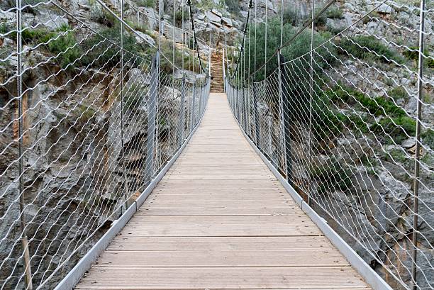 istock Suspension bridge in nature park 585321198