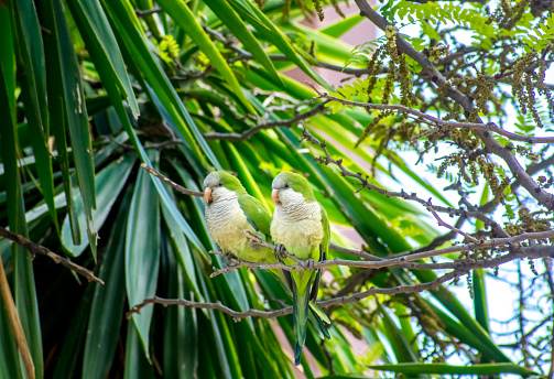 In Barcelona, Catalonia