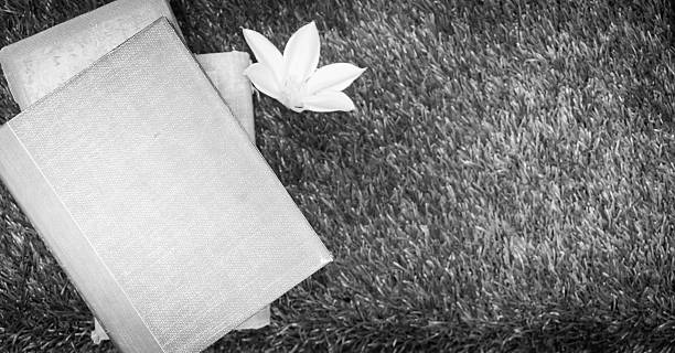 Books on grasses floor in black and white with copy space