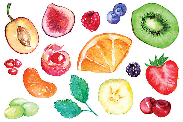 ilustraciones, imágenes clip art, dibujos animados e iconos de stock de acuarela fruta exótica rebanada de bayas de color rojo vector aislado - fruta ilustraciones