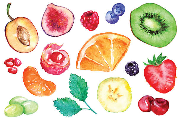 ilustrações de stock, clip art, desenhos animados e ícones de watercolor exotic fruit berry slice set isolated vector - food illustration and painting painted image mint