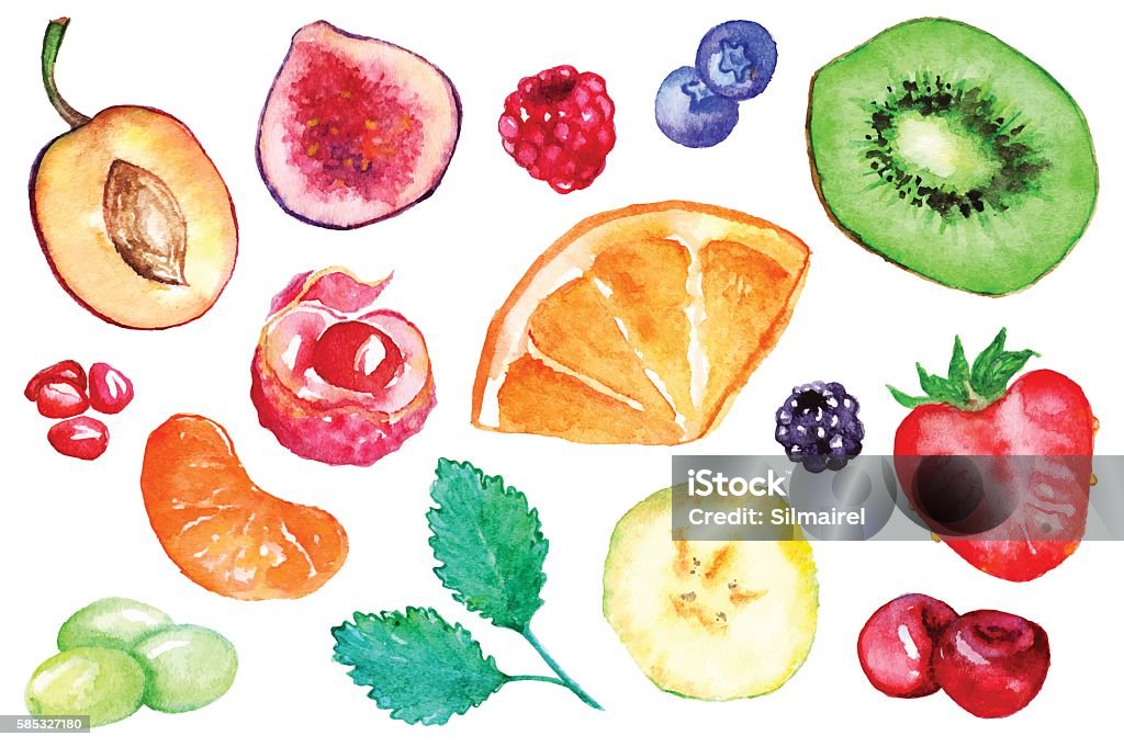 Watercolor exotic fruit berry slice set isolated vector Watercolor exotic fruit berry slice set isolated vector. Watercolor Paints stock vector