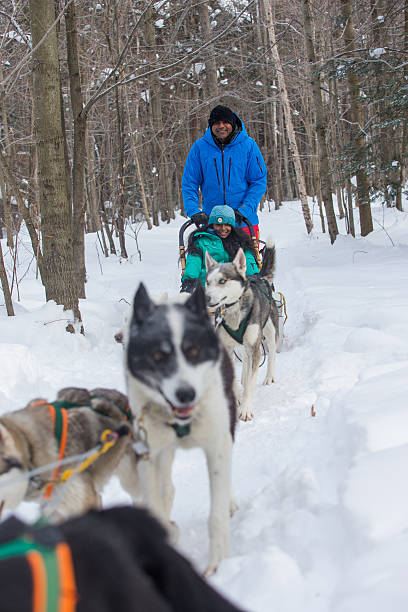istock Indian couple dogsledding 585328506