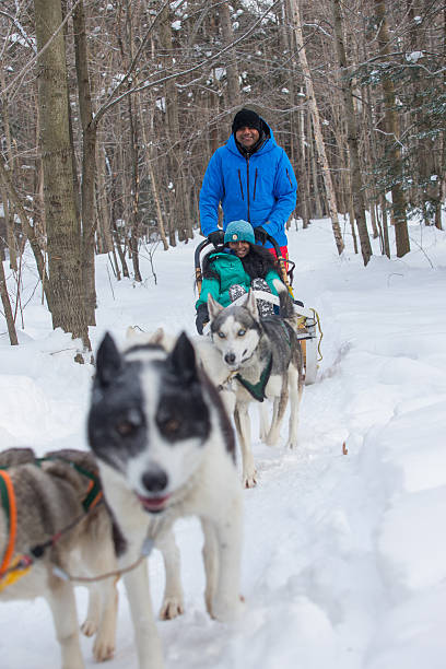 istock Indian couple dogsledding 585328622
