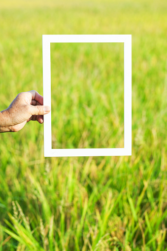 wooden photo frame composed by old man in the rice field