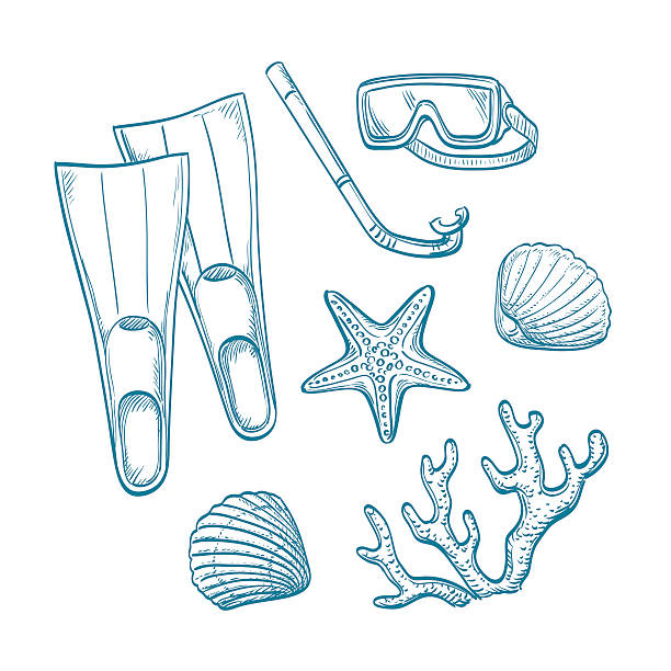 illustrations, cliparts, dessins animés et icônes de jeu de croquis d’été. - etching starfish engraving engraved image