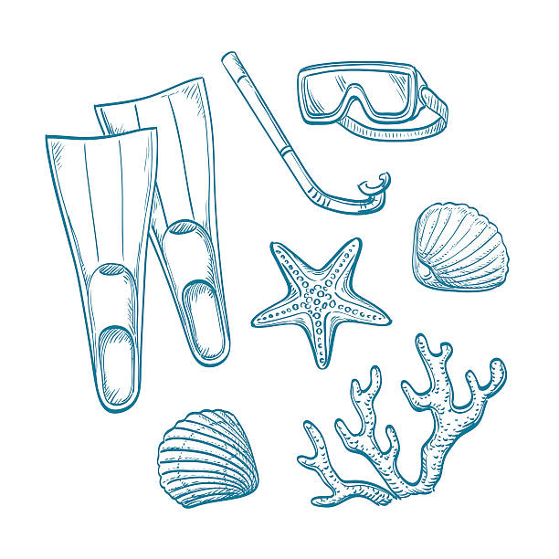 ilustrações de stock, clip art, desenhos animados e ícones de summer sketch set. - etching starfish engraving engraved image