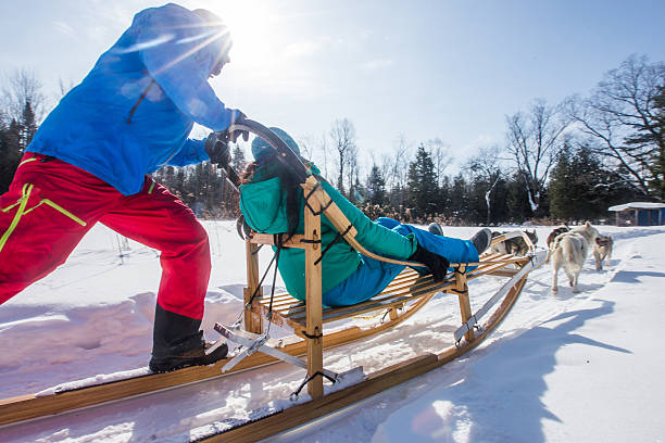 Indian couple dogsledding Indian couple dogsleddingIndian couple dogsledding animal drawn stock pictures, royalty-free photos & images