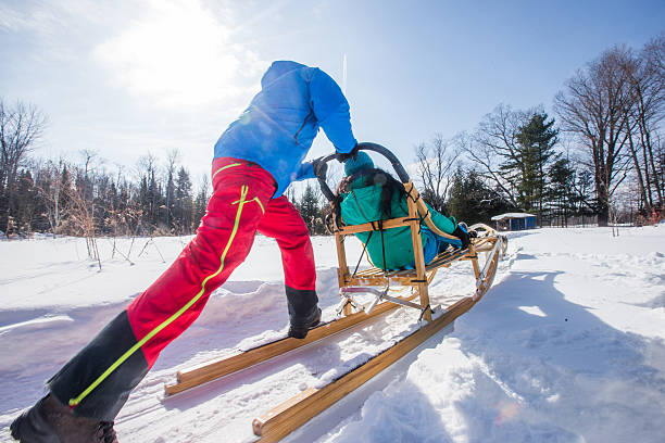 istock Indian couple dogsledding 585478980