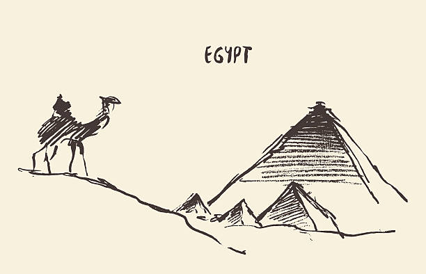 illustrazioni stock, clip art, cartoni animati e icone di tendenza di piramidi cammello giza cairo egitto vettore. - egypt camel pyramid shape pyramid