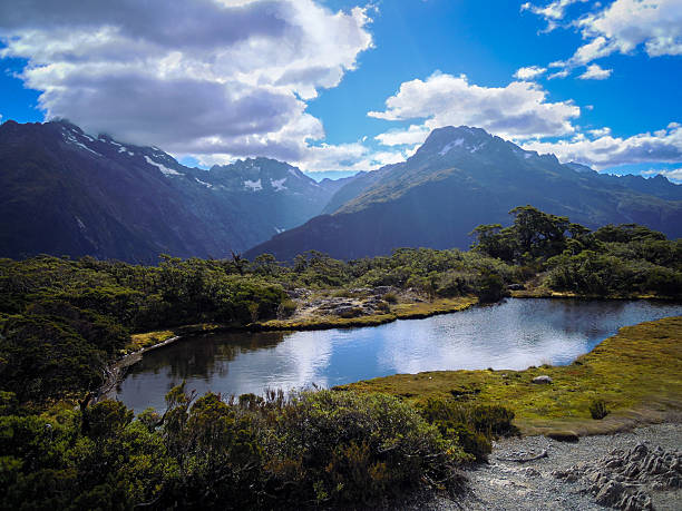 istock On top of Key Summit - Routeburn Track 585482812