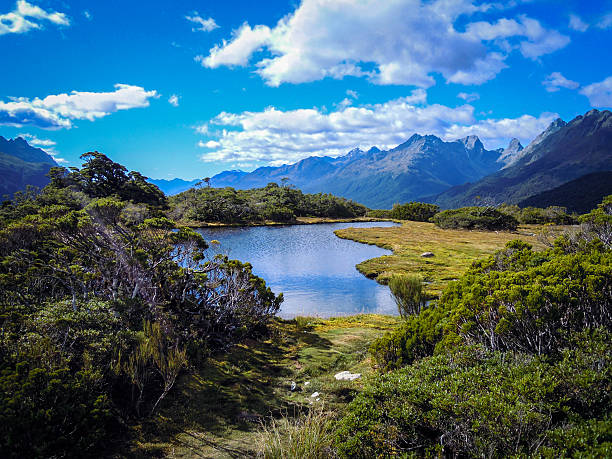 istock On top of Key Summit - Routeburn Track 585482952