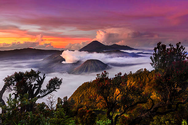 istock Morning at Penanjakan 585490574