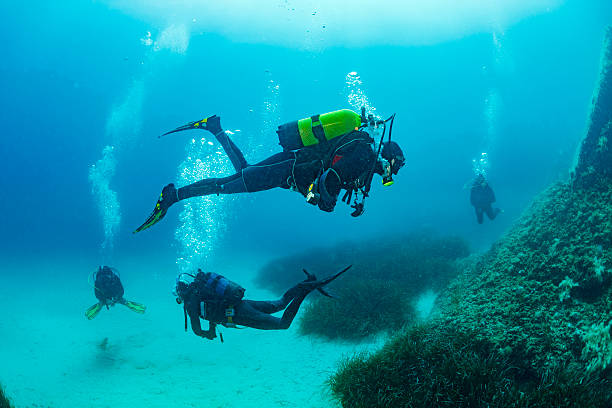 buceo submarina grupo de buceadores en azul - female with group of males fotos fotografías e imágenes de stock