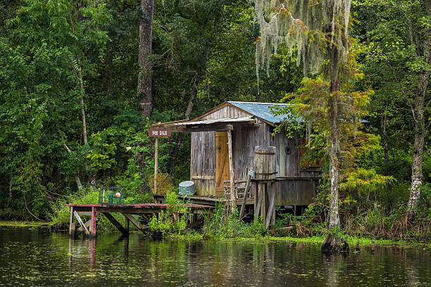 Old house in a swamp in New Orleans Louisiana USA