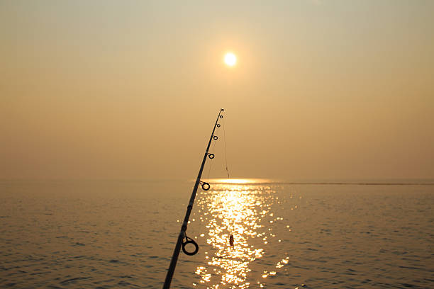 istock fishing rod with spoon bait on a sunset background 585495032
