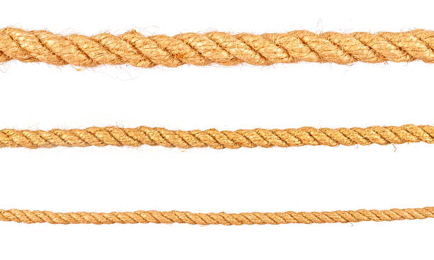 istock rope isolated on white background. Set of various ropes 585495826