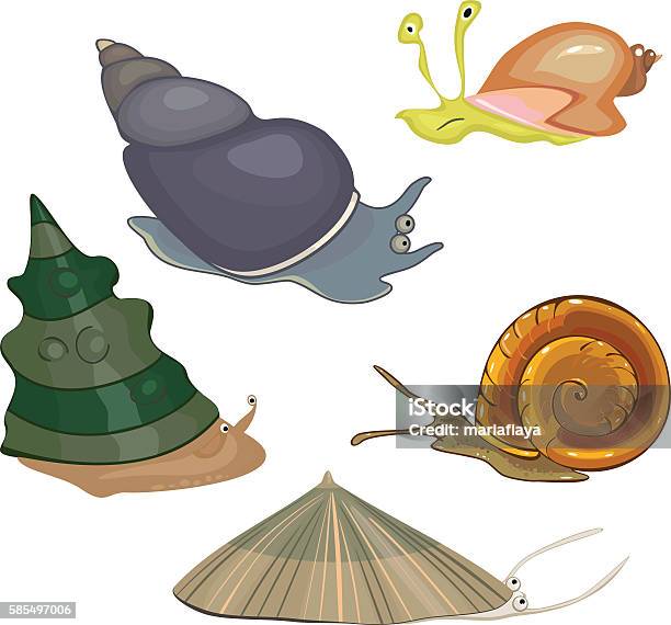 Set Of Snails Stock Illustration - Download Image Now - Animal, Animal Shell, Aquatic Organism - iStock Set Of Snails Stock Illustration - Download Image Now - Animal, Animal Shell, Aquatic Organism - iStock