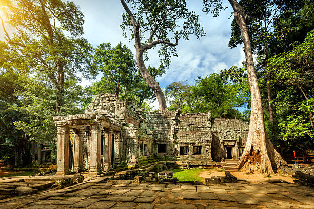 templo angkor wat, angkor, província de siem reap, camboja - siem riep - fotografias e filmes do acervo