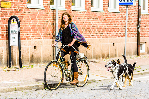 Ystad, Sweden - August 1, 2016: Real people in everyday life. Lovely young woman out biking with two dogs using rope as leash. Dogs look like Dalmatian and German shepherd.