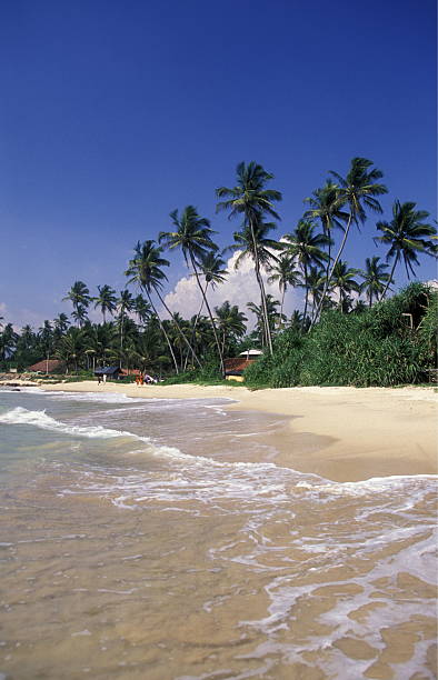 istock SRI LANKA HIKKADUWA BEACH 585499778