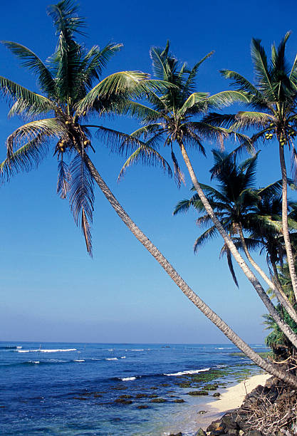 istock SRI LANKA HIKKADUWA BEACH 585501682
