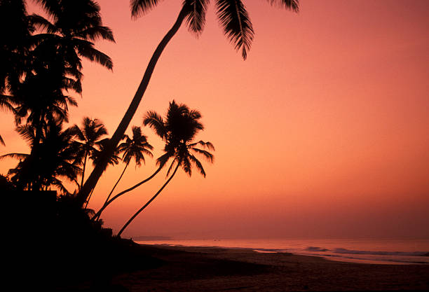 a beach at the coast of Hikaduwa at the westcoast of Sri Lanka in Asien.