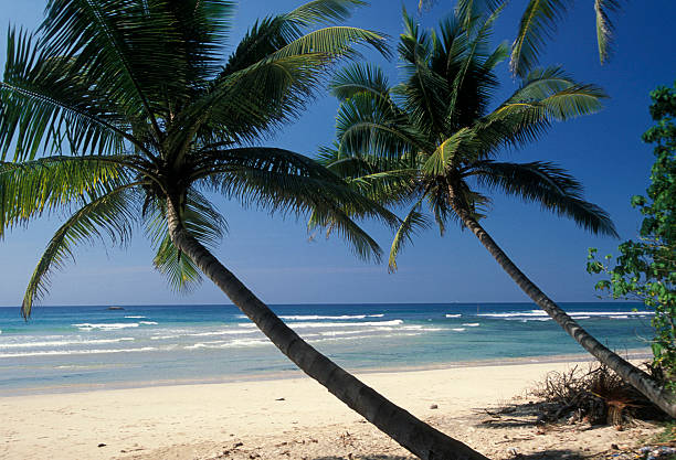 istock SRI LANKA HIKKADUWA BEACH 585502652
