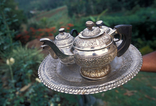 istock SRI LANKA NUWARA ELIYA TEA PLANTATION 585502682