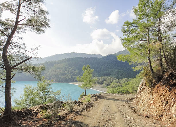 istock Asia Minor nature 585502758