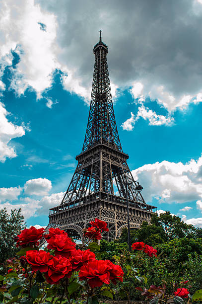 istock Eiffel tower in Paris, France 585504198