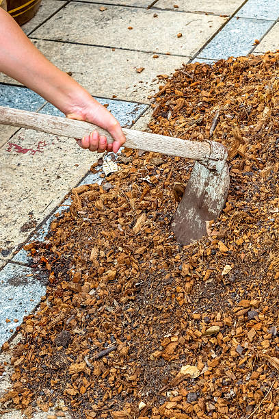 istock man worker using hoe equipment on the soil clay dirt 585504592