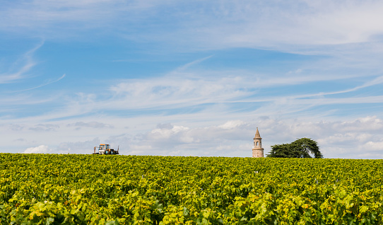 VinEyard with tower, tractor and tree at Chateau Roque de By in Medoc Gironde France.