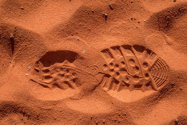 istock shoe footprint on sand 585506834